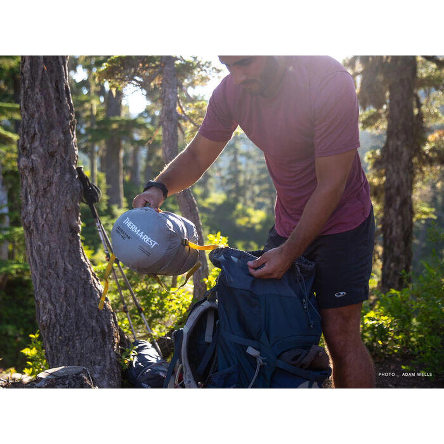 Therm-a-Rest Questar -6C - Balsam 2 Therm-a-Rest Questar -6C - Balsam – Image 2